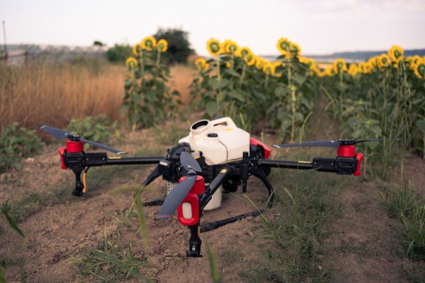 ������� ����