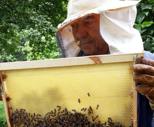 Преведени са над 7,5 млн. лева по Пчеларската програма за 2021 г.