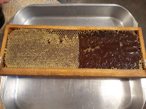 Износът на мед от Украйна намаля двойно от началото на сезона