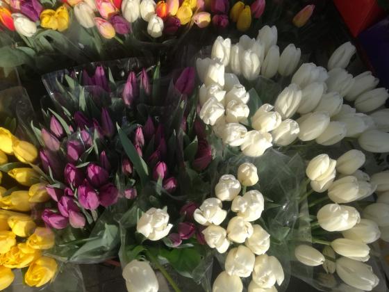 Турция постави нов рекорд в износа си на цветя