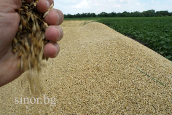 Попълването на зърнения резерв може да мине в графа „отпаднала необходимост”
