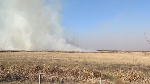 Пожар в Румъния унищожи над 200 хектара с елитна пшеница и рапица