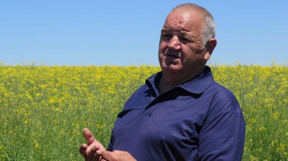 Вукодинов: Интервенция на зърно се прави по време на жътва!