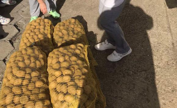 Добивите от картофи в Германия спаднаха с 12 на сто