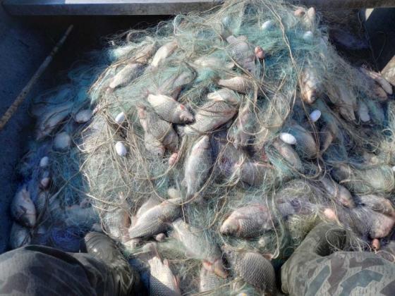 Извадиха поредните 2 километра бракониерски мрежи от езерото Вая