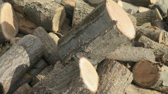 Зачестяват сигналите за измами при продажбата на дърва за огрев