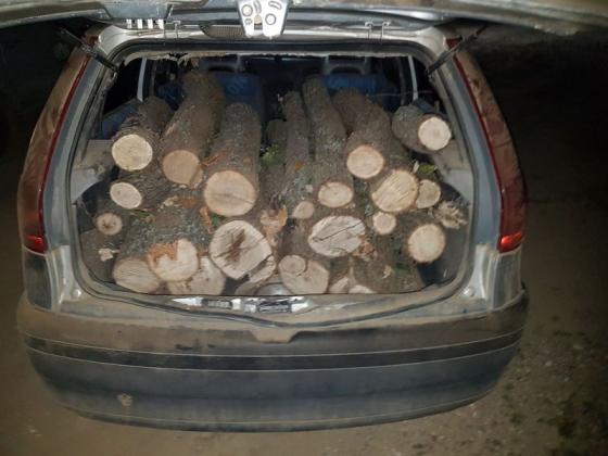 Предотвратиха превоза на незаконно отсечена дървесина в Силистренско