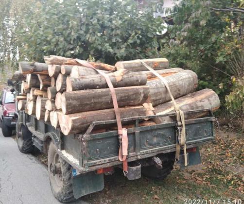 Задържаха камион с незаконна дървесина в квартал на Бургас