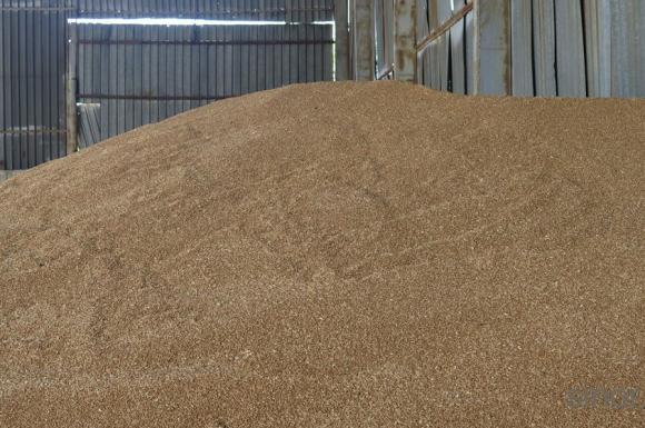Китай пазарува австралийска пшеница с рекордно темпо