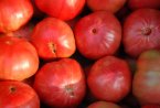 България е лидер по ръст във вноса на домати от Турция