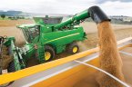Аржентина прибра рекордна реколта от пшеница