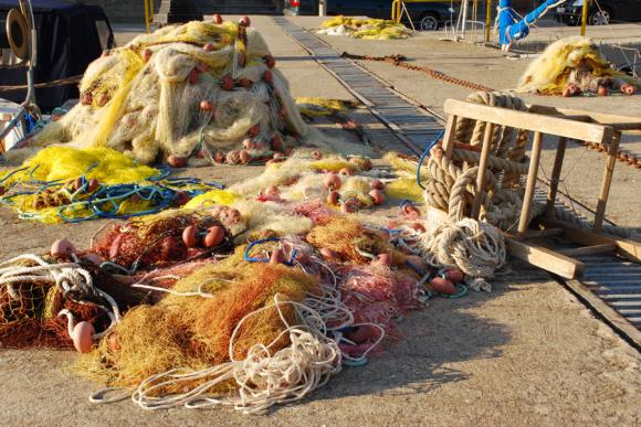 Още санкции за риболовци-бракониери