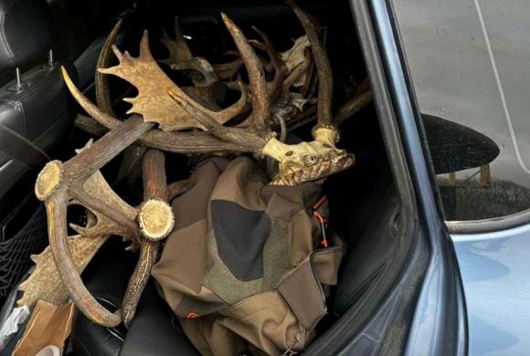 Иззеха 50 незаконни ловни трофея от бракониери в село край Приморско