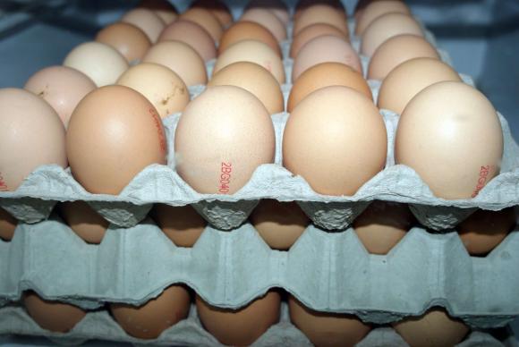 От януари до декември 2022 яйцата са поскъпнали с 82 процента