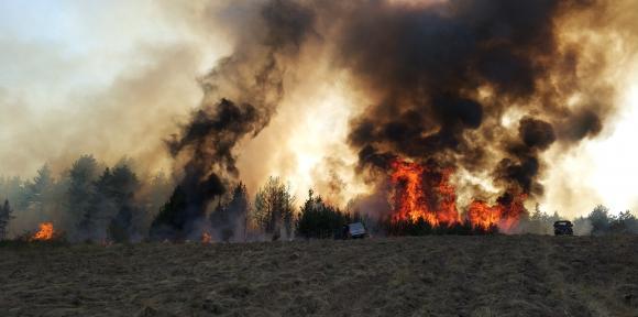 Горски и пожарникари работят за пълното овладяване на пламъците край Свиленград 