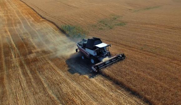 Египет напазарува близо половин милион тона руска пшеница директно,  без международен търг