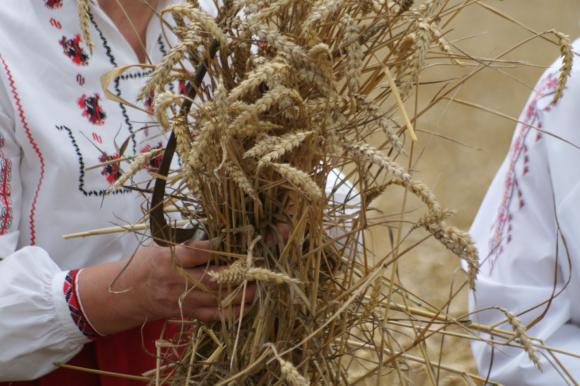 Пропадна сделката за 480 000 т. руска пшеница за Египет