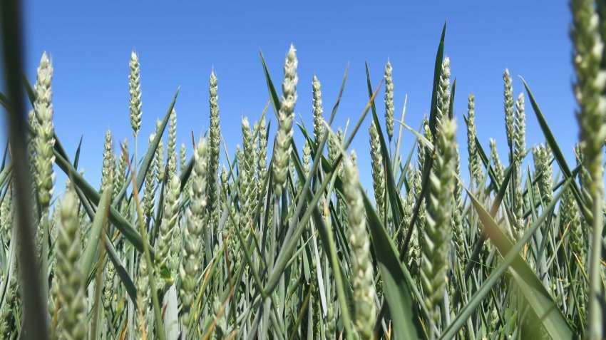 ����� � ������ �� ������� ���� 31 000 ���� ������� �� �������� �� ������ 