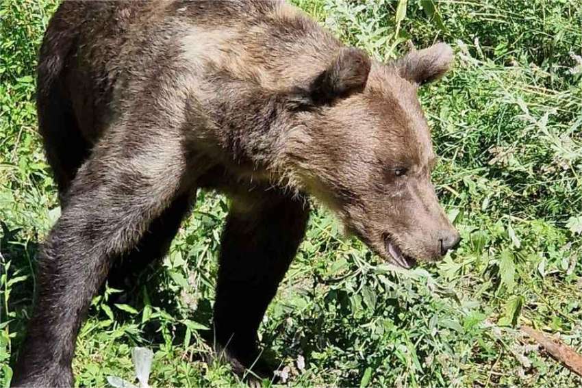 � ��������� ��������� 17 ������� �� ���� �� ����� ���� ��� 