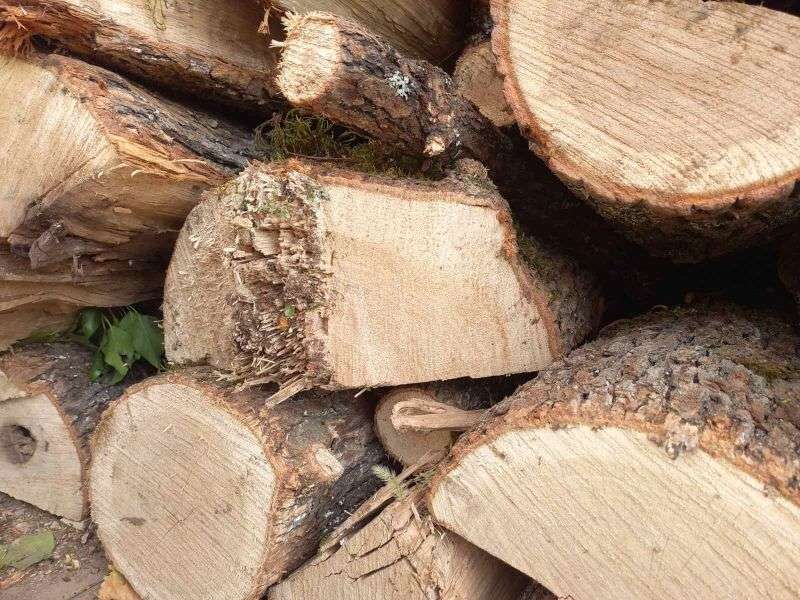 � ��������� ������� �������� �� ������ ���� 62 ������ ��������� ��������� ���� ��� 