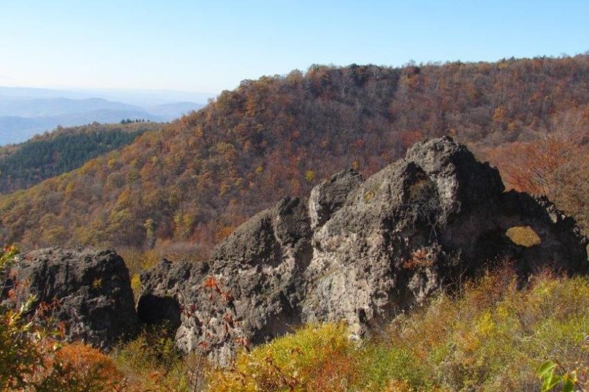 ������� �� ���� �������� ��������� ���� ������� � ������� �� ������� ������