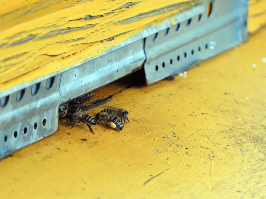 ��������� ����� ������ �� ������� ����������� �� �� 31 ������, ������