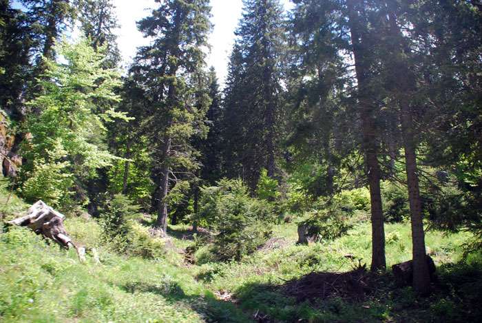 ����� �� ����� ��� ������ ������� �� ������������� �� ������ �� ������ ��������