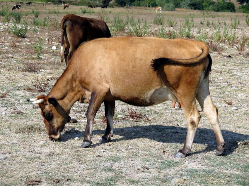 �������� ���� �� ��������� �� ������� de minimis ���������