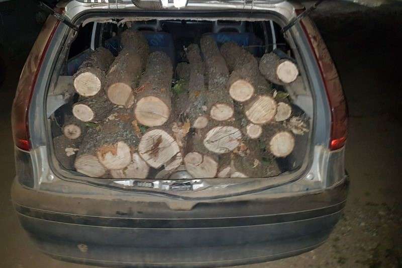 ������ ��������� � ��������� ��������� �� ���������� � ������������� 