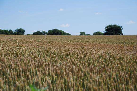 ������������� � ���������� ����������� ����� � �������� 