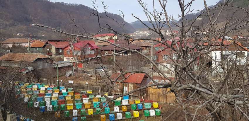 ��������� ���� 2024 �.  - ��� ���� ���� ������ �� ���������� �� ������ ��� ������� ������ �� ���������� �� ������ ���