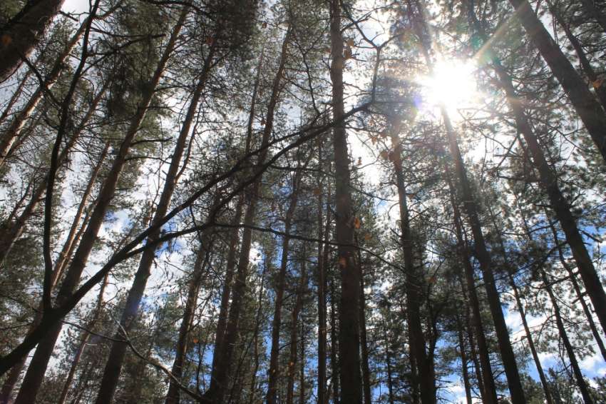 ��� 2 700 ������ � �������� � �������� �� ������� �� �������� ���������