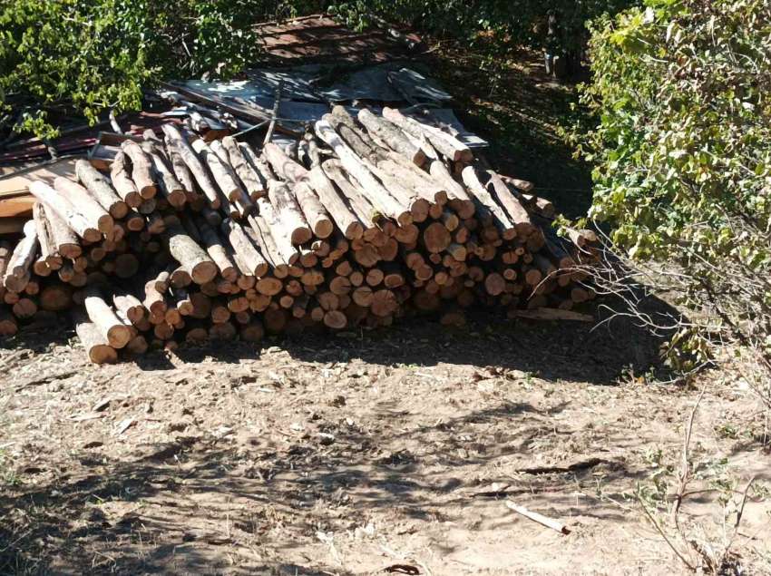 ������� 36 ������ ��������� ��������� ���� �� 3 ���� � ��������� ���� 