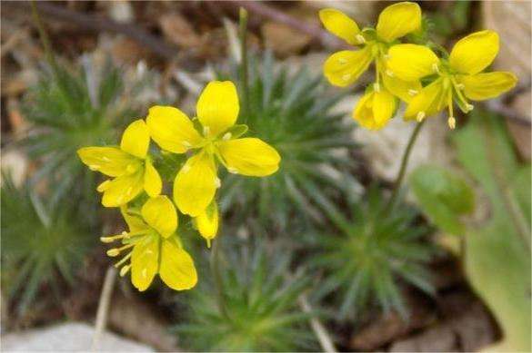 � ������ ������� ���� �������� � ������� �����