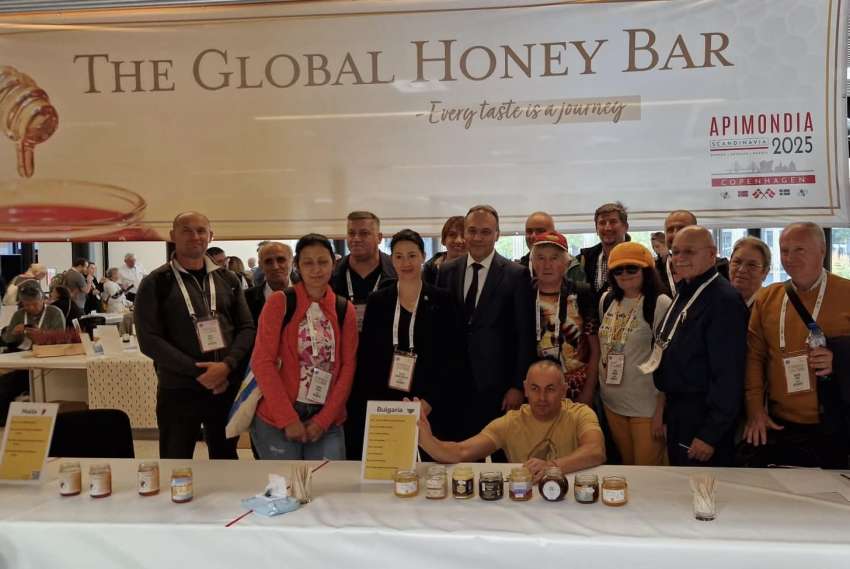 ���� ������� �� �������� � ��������� ������� ��������� 2025