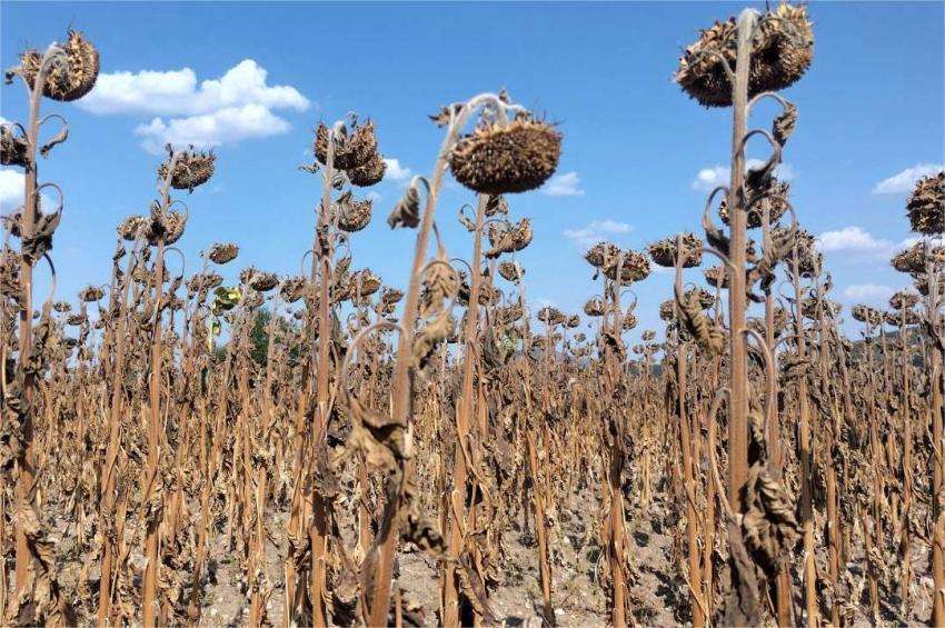 � ������� ���� �� ������� ��� 58 �� ��� �� ������� ��� ���������� 