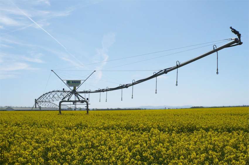 ��������� � ������� ������� ��� ������ ���� - ������ ��� ������� �������