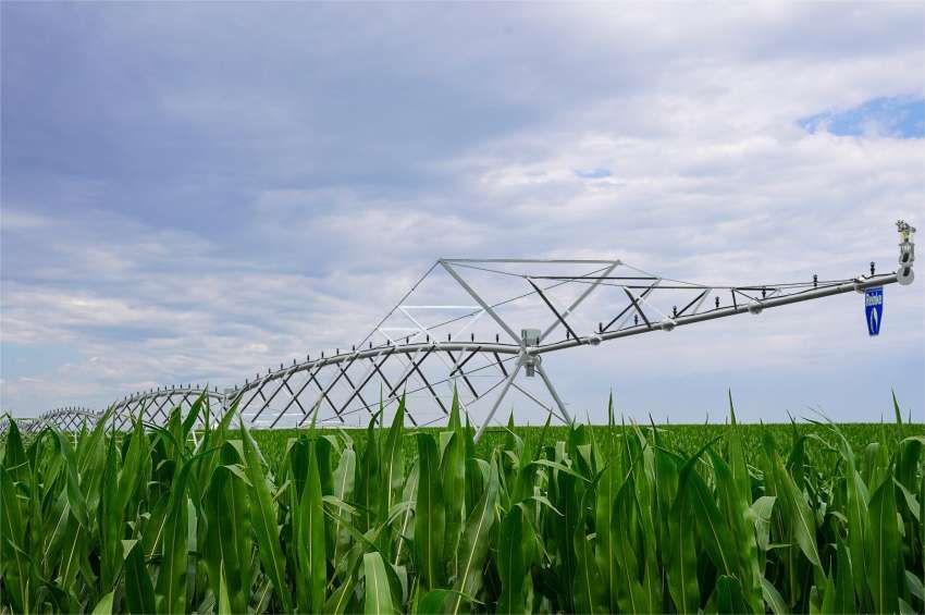 Reinke � ��� ������������� �������� �� ������ ��������