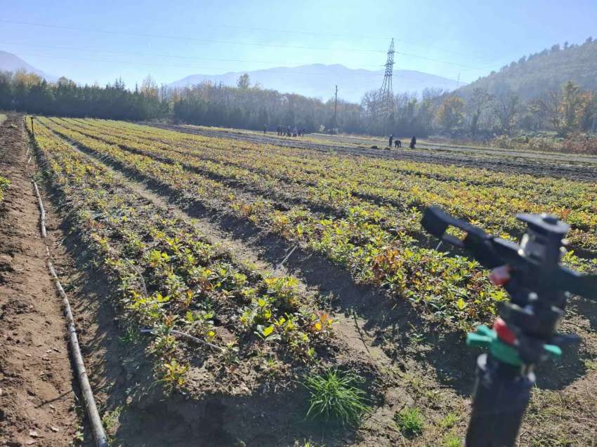 �������� ��������� � ������� �� ������� 400 000 ������� �� �������� 