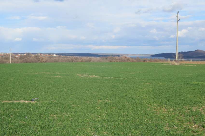 � ����� �� ������� ��������� �� ����� ������ ������ � ������ ����� ��� ������� 