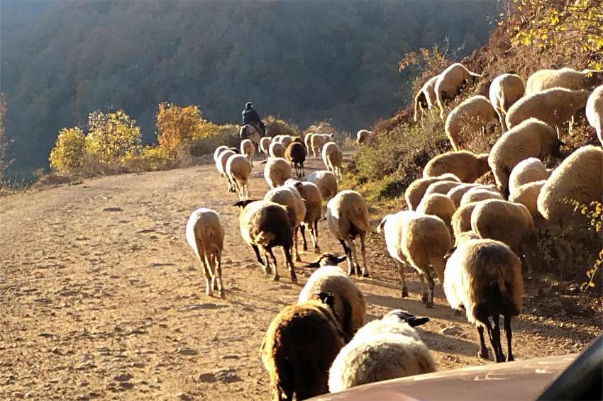 ������ ������� 20 ���� ����� �� ����� � ������ ����� �� �������� 