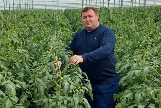 И зеленчуците ще поскъпват с ръста на разходите за труд и енергоносители