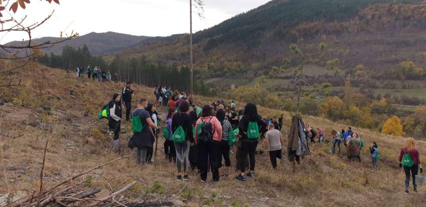 Горски и военни ще залесяват опожарени площи в община Симитли
