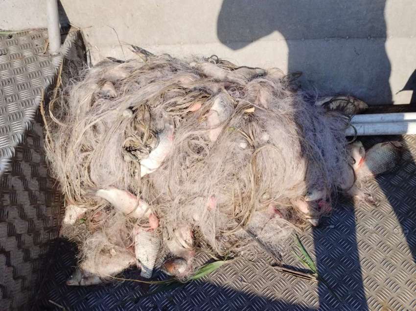 Ще посрещнем ли Никулден без българска риба на трапезата