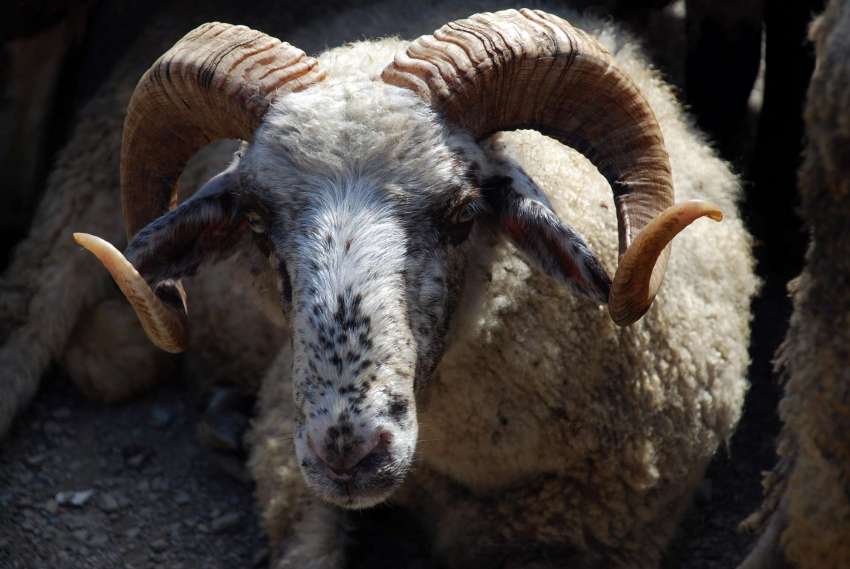 ����� ������ ����� 3 ������� ���� �� ��������� �������� � ���������������� �� 2025