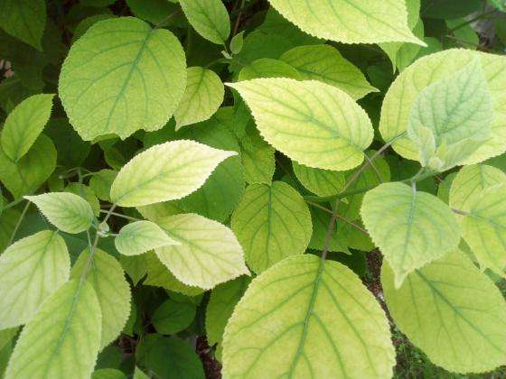 ���������� �� �������� ������ � ��������� ���� ������