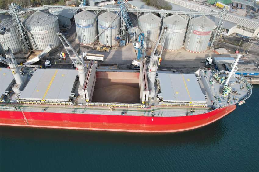 Защо за един ден цената на пшеницата на борсата в Париж скочи с 4-5 евро