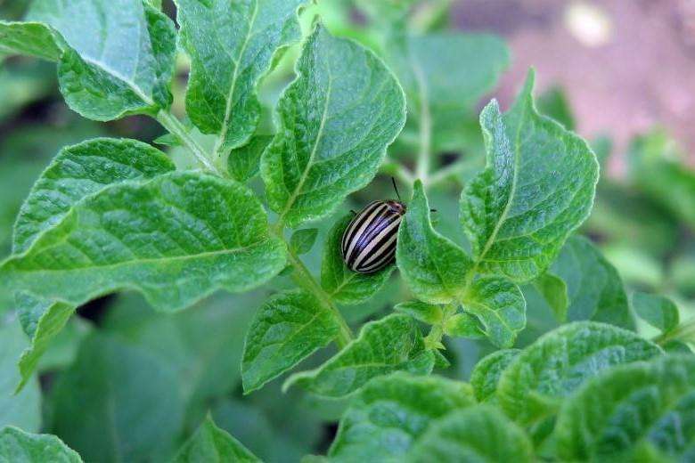 ������: ��������� ��� ������ ����������� �� ����� �� �������� � ���������