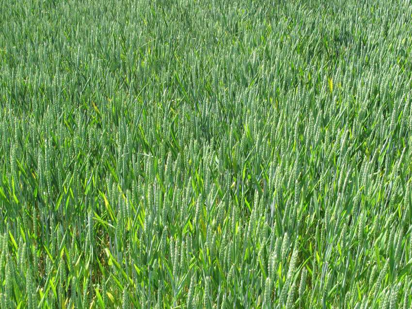 � ��������� �� ���� ��������� ������� ������ ������� ������