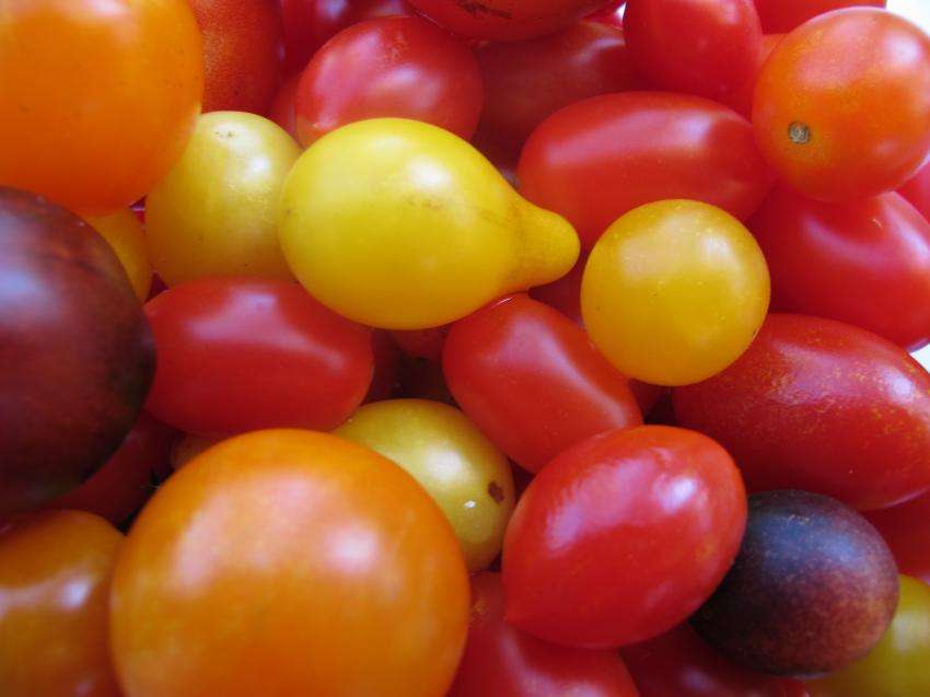 ������� � ��������������� �� �������� �� ������� �� ������ ������� �������